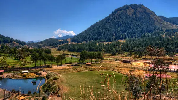 Granja Porcón